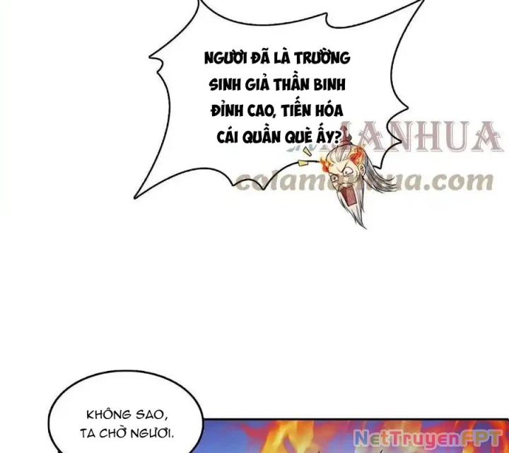 Tu Chân Nói Chuyện Phiếm Quần Chapter 558 - Trang 2