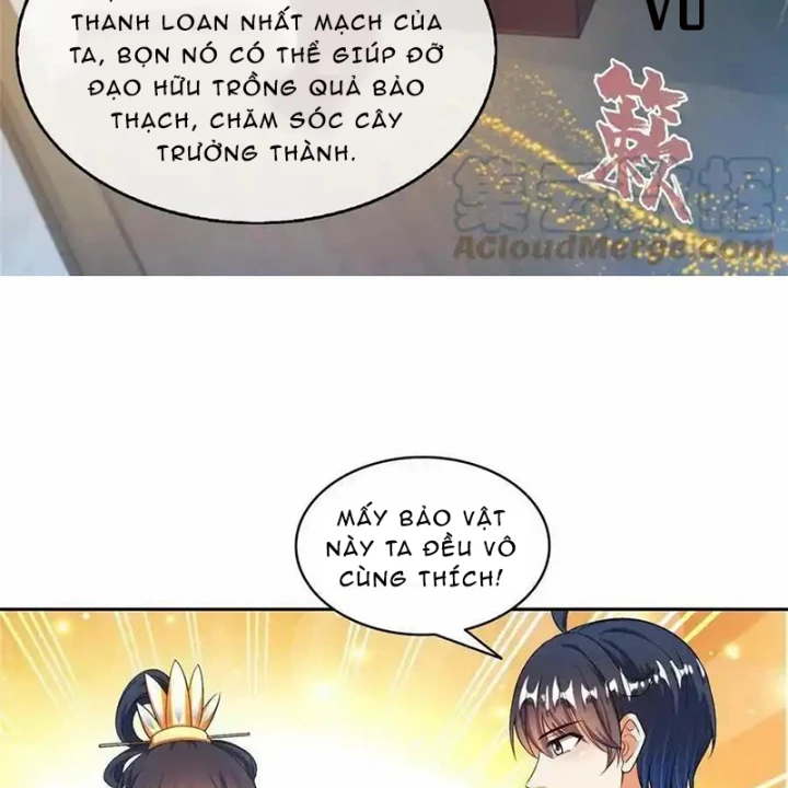 Tu Chân Nói Chuyện Phiếm Quần Chapter 567 - Trang 2