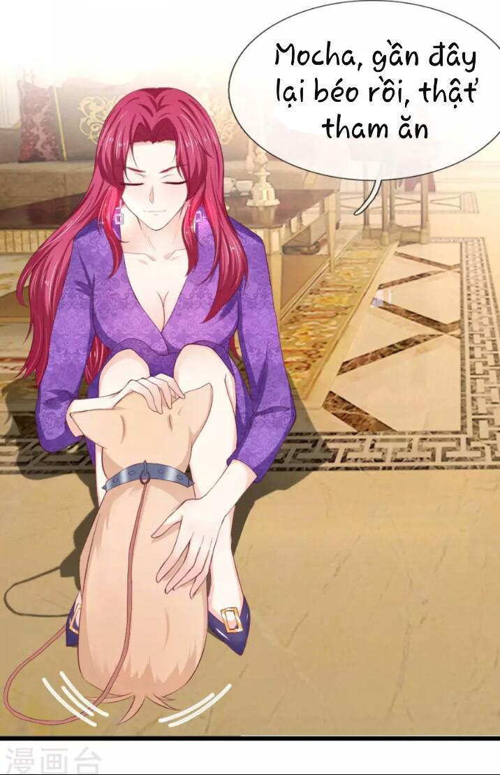 Từ Chối Kết Hôn Với Đại Gia: Cô Dâu Bỏ Trốn Chapter 47 - Trang 2