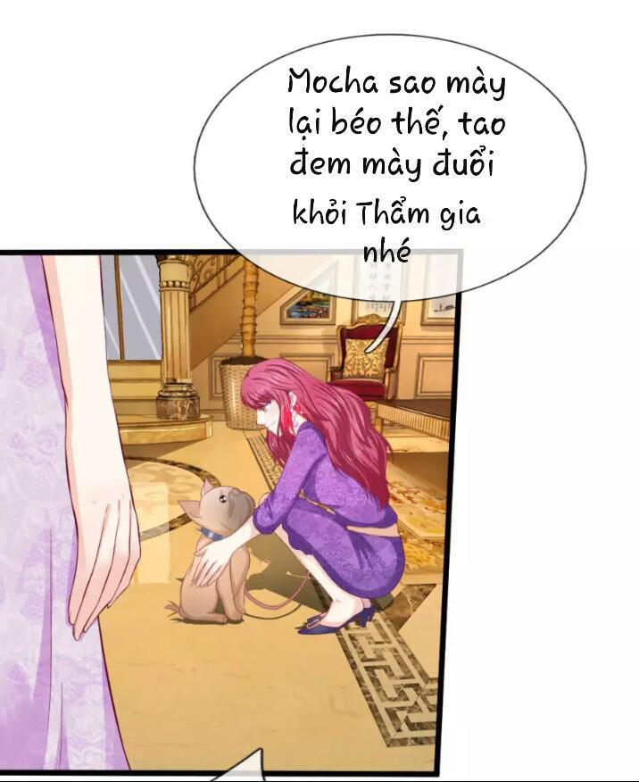 Từ Chối Kết Hôn Với Đại Gia: Cô Dâu Bỏ Trốn Chapter 47 - Trang 2