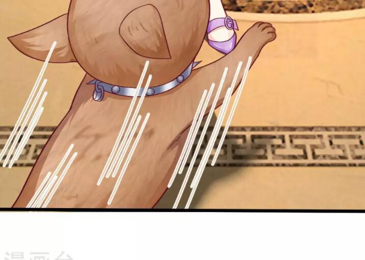 Từ Chối Kết Hôn Với Đại Gia: Cô Dâu Bỏ Trốn Chapter 48 - Trang 2