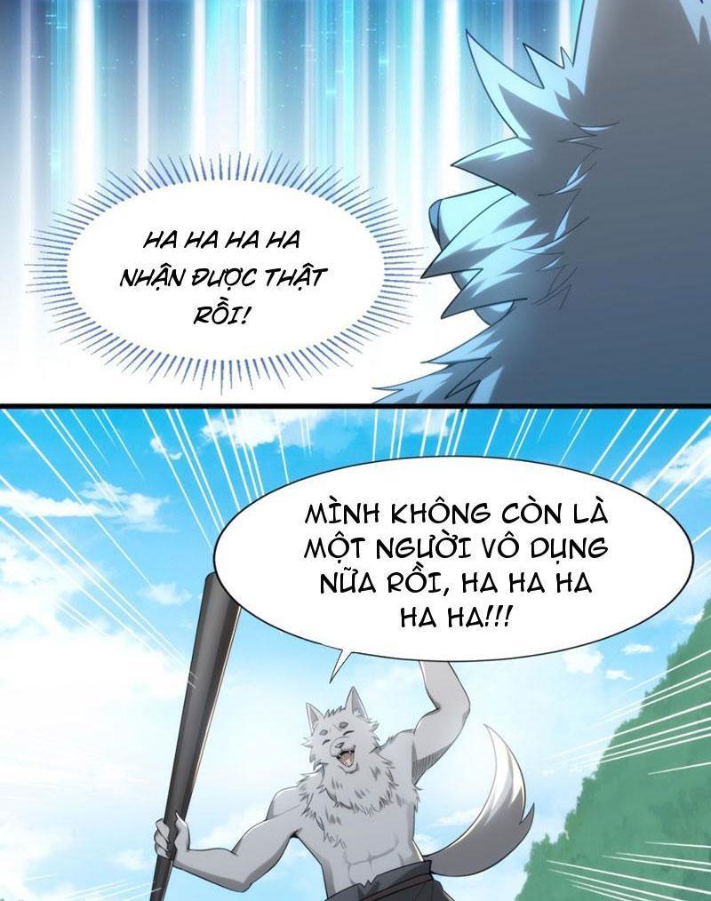 Từ Dã Quái Bắt Đầu Thăng Cấp Chapter 2 - Trang 2