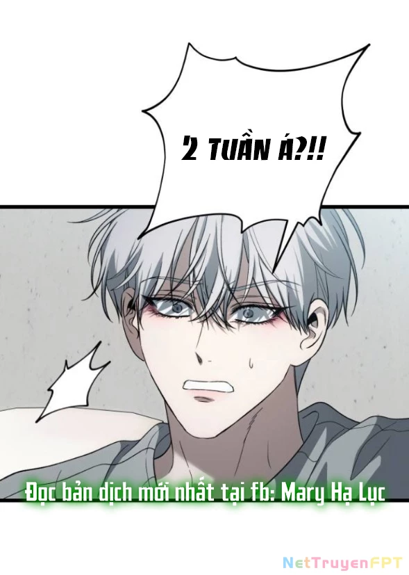 Tự Do Trong Mơ Chapter 178.1 - Trang 2