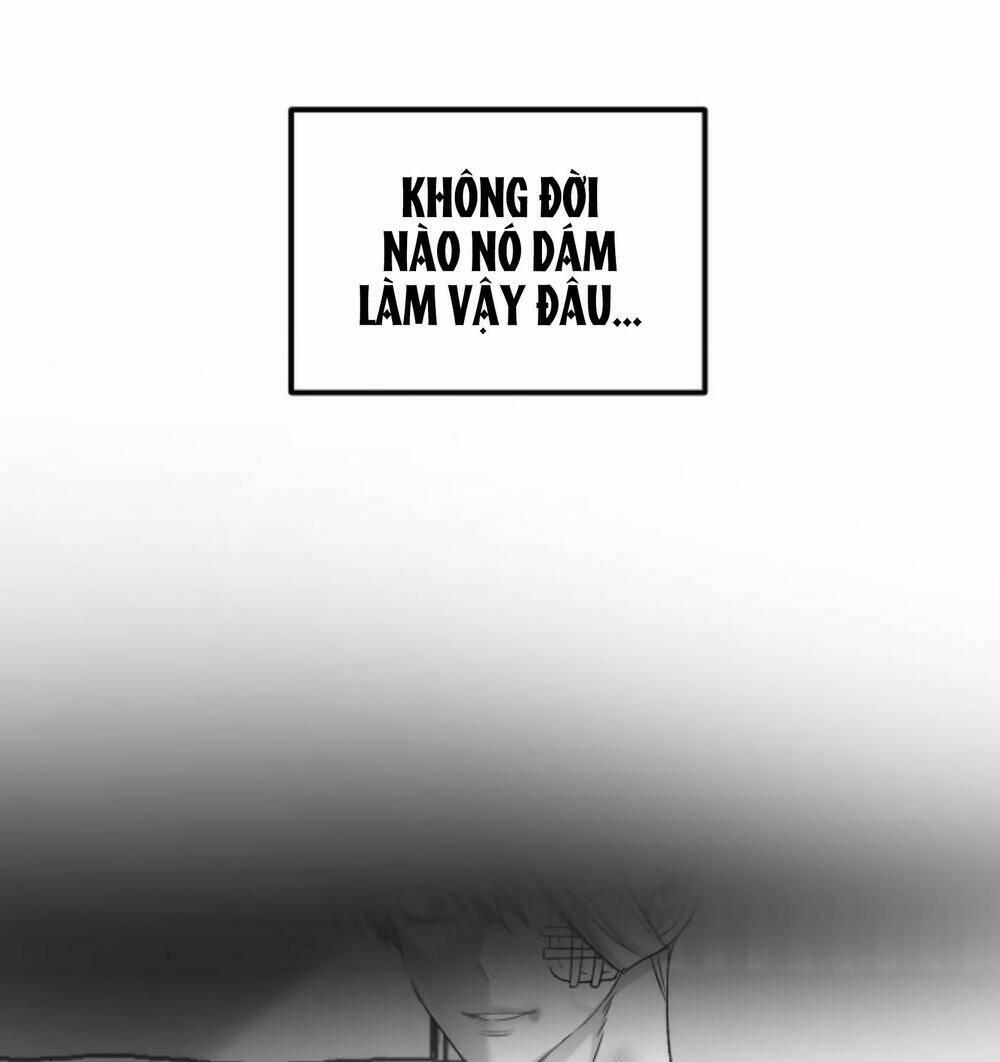 Tự Do Trong Mơ Chapter 35 - Trang 2