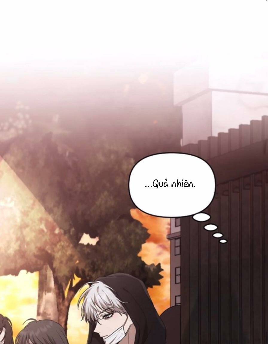 Tự Do Trong Mơ Chapter 46 - Trang 2