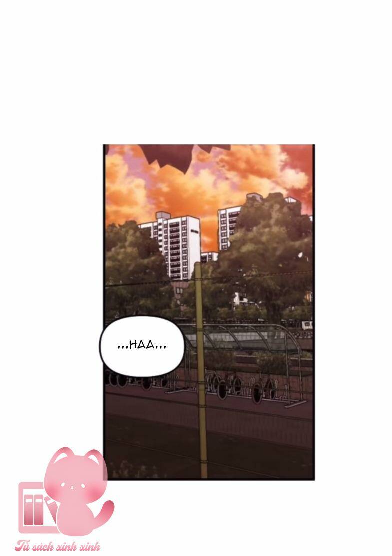 Tự Do Trong Mơ Chapter 46 - Trang 2