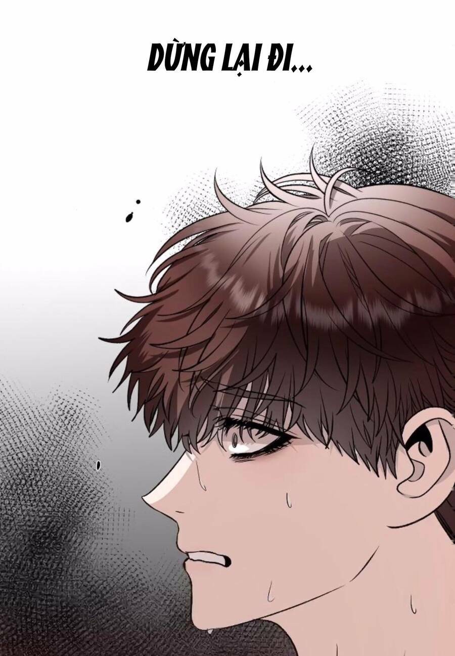 Tự Do Trong Mơ Chapter 72 - Trang 2