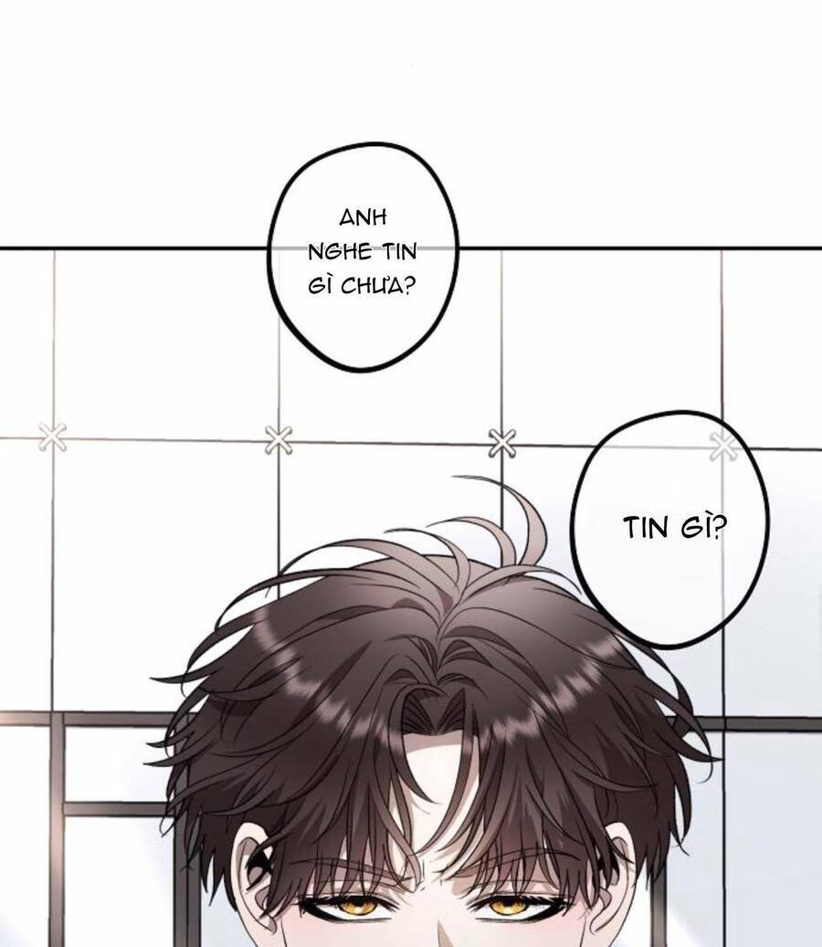 Tự Do Trong Mơ Chapter 77 - Trang 2