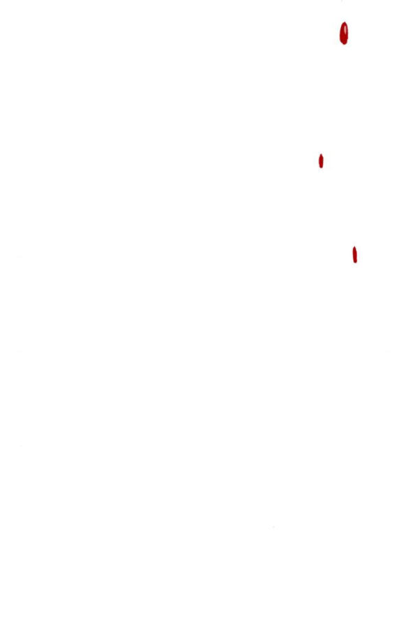 Tự Do Trong Mơ Chapter 93.2 - Trang 2