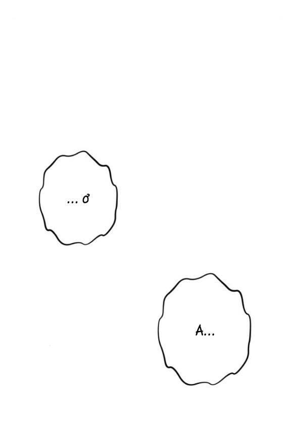 Tự Do Trong Mơ Chapter 95 - Trang 2