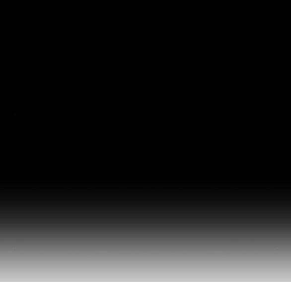 Tự Do Trong Mơ Chapter 98.1 - Trang 2