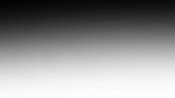 Tự Do Trong Mơ Chapter 98.1 - Trang 2