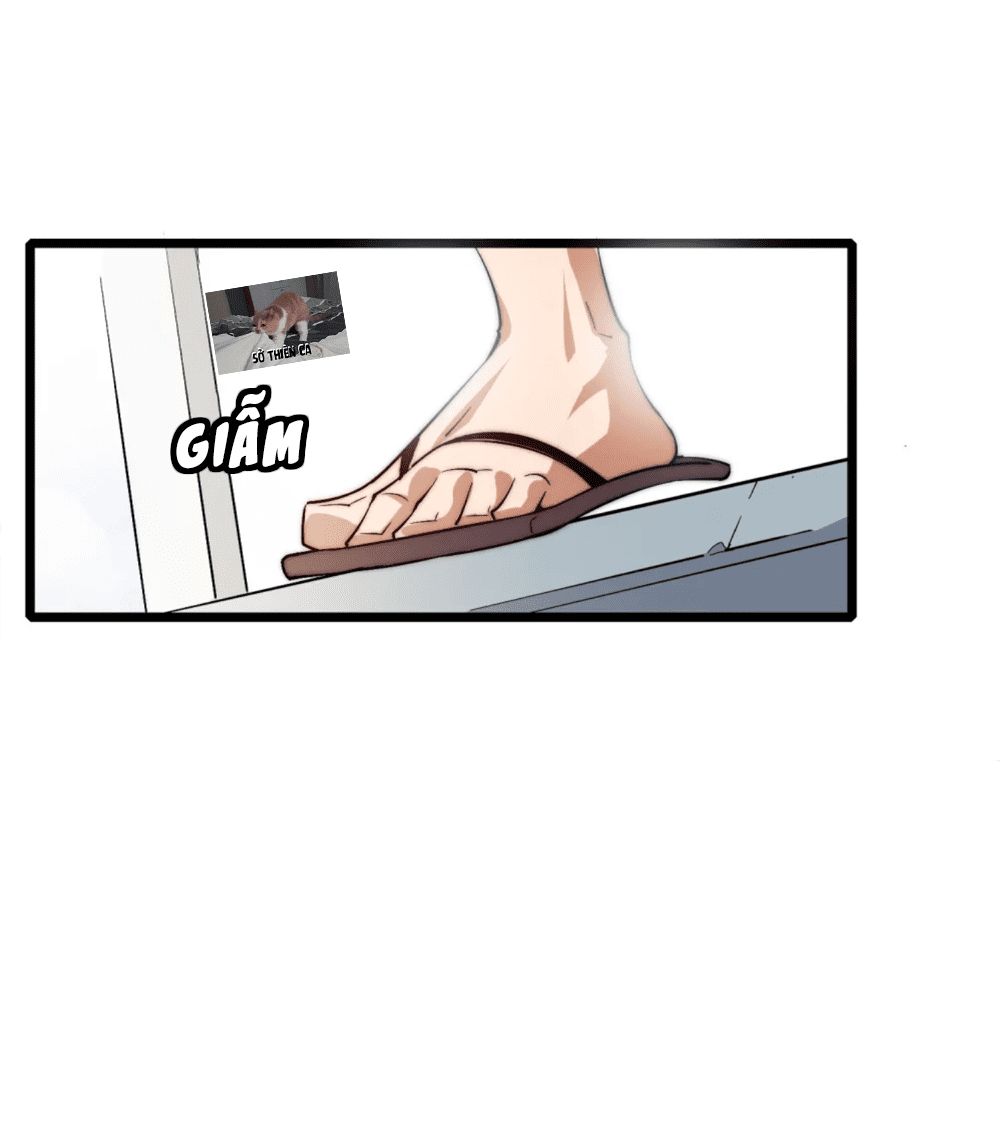 Từ Hôm Nay Bắt Đầu Làm Người Giàu Nhất Chapter 1 - Trang 2