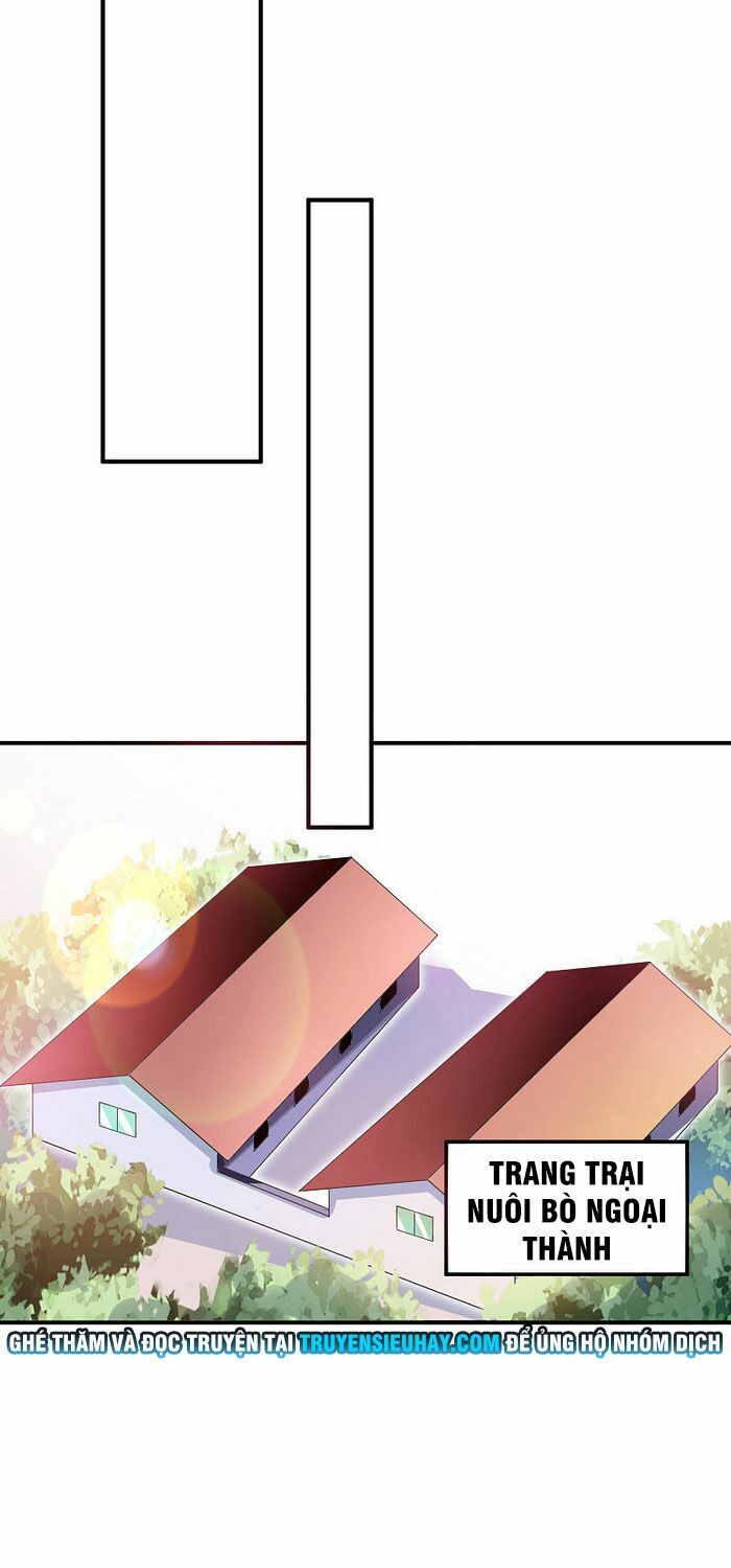 Từ Hôm Nay Bắt Đầu Làm Người Giàu Nhất Chapter 168 - Trang 2