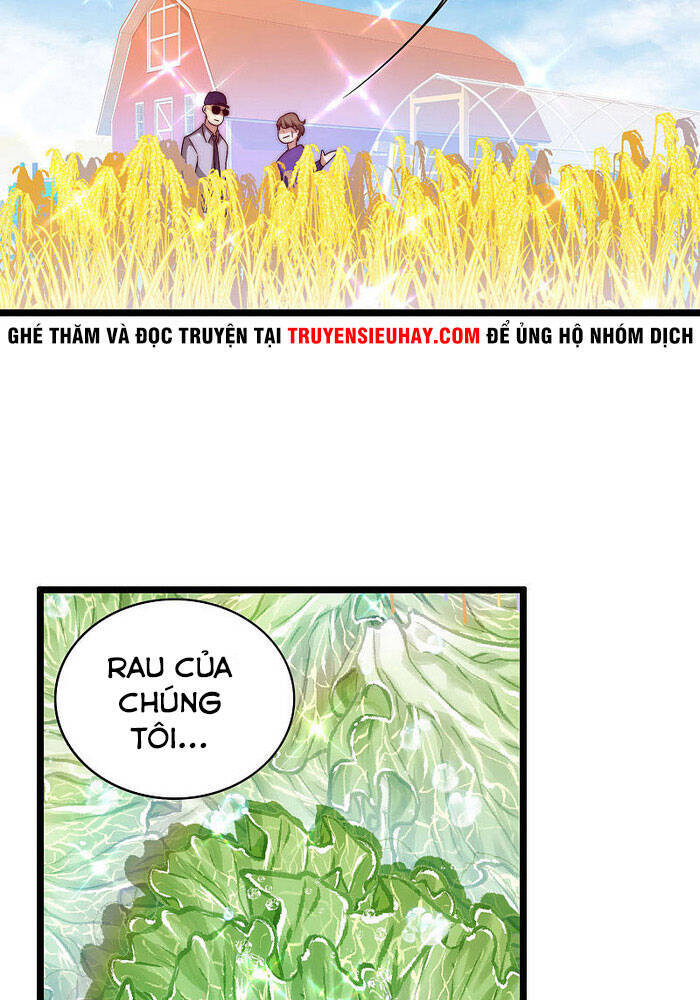 Từ Hôm Nay Bắt Đầu Làm Người Giàu Nhất Chapter 185 - Trang 2