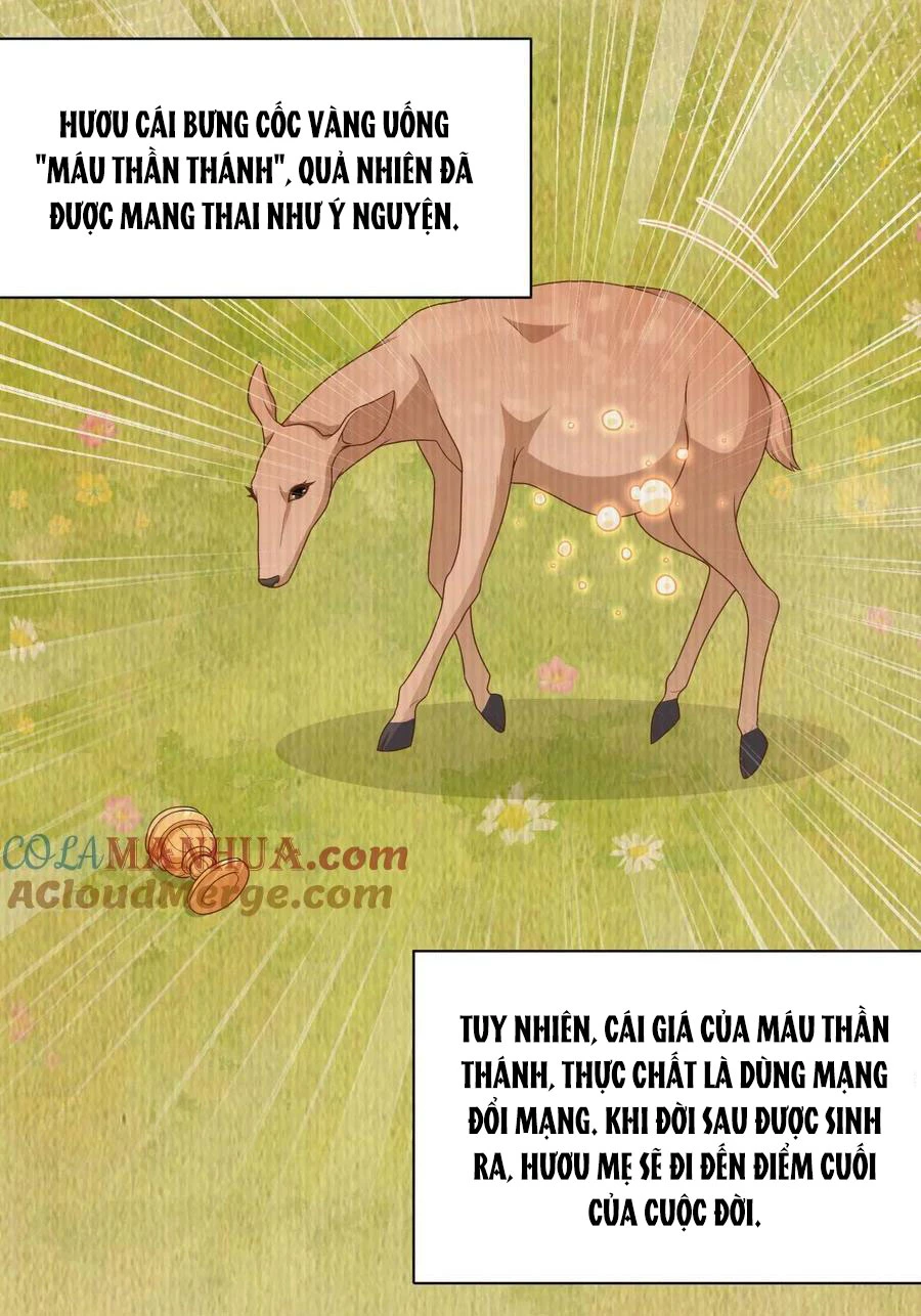 Từ Hôm Nay Bắt Đầu Làm Thành Chủ Chapter 481 - Trang 2