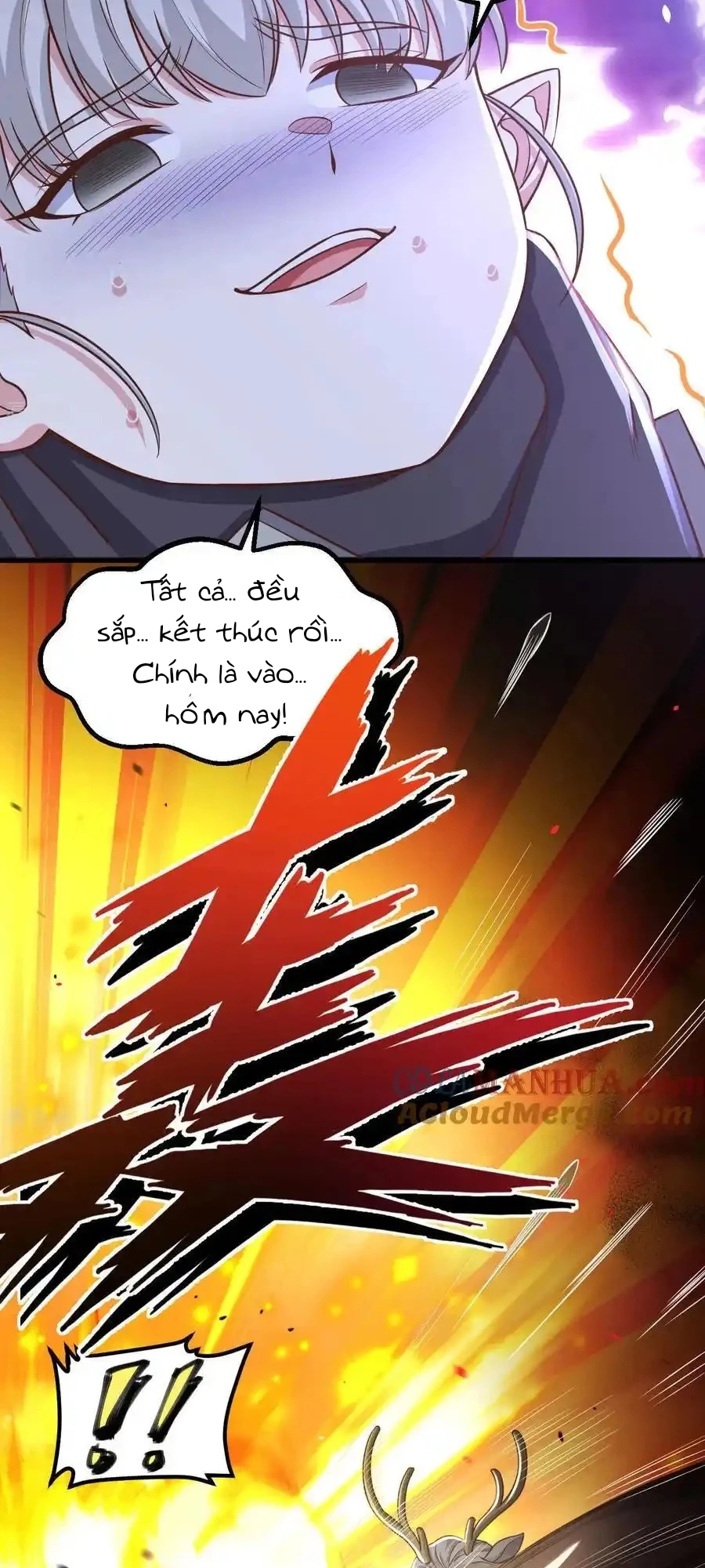 Từ Hôm Nay Bắt Đầu Làm Thành Chủ Chapter 495 - Trang 2