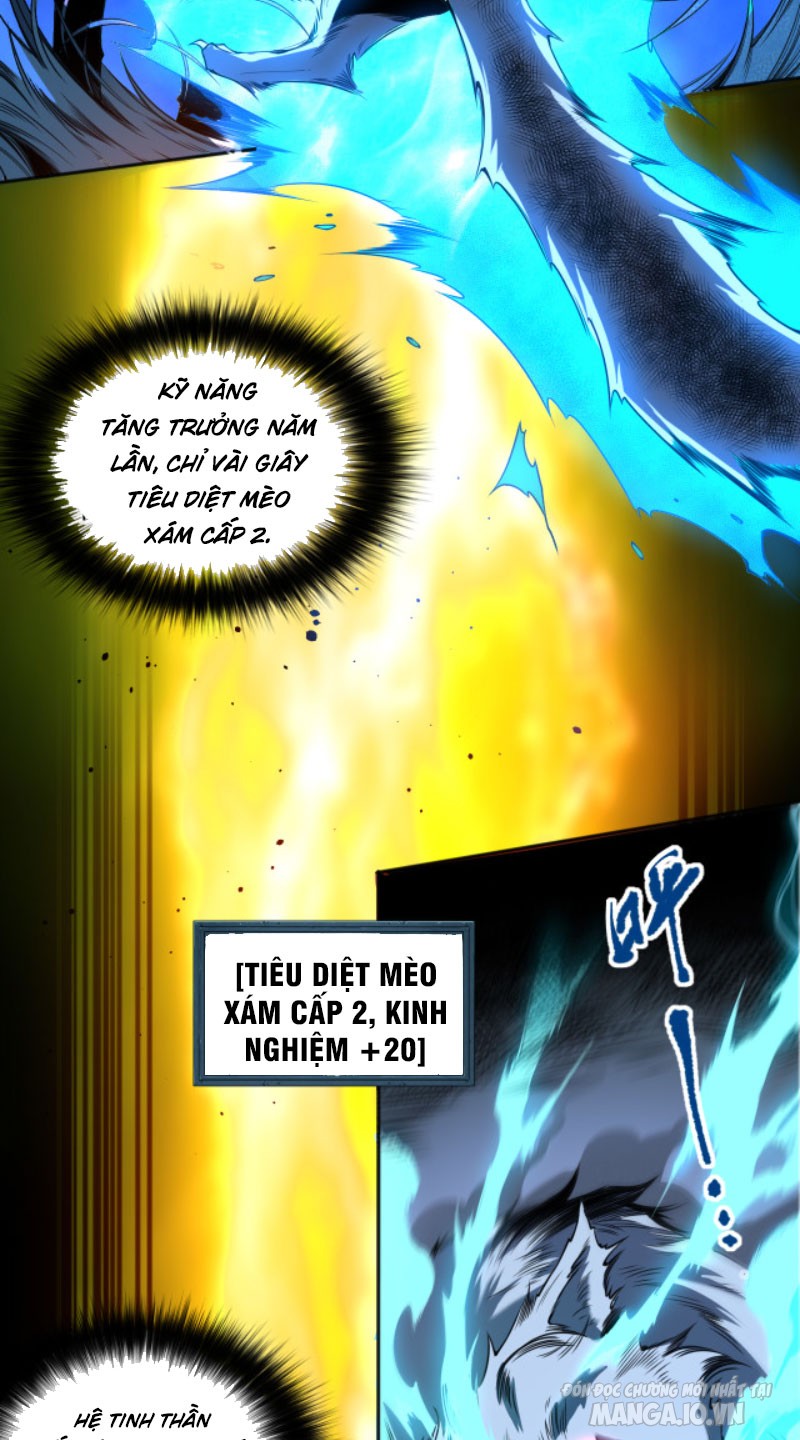 Tử Linh Pháp Sư: Ta Chính Là Thiên Tai Chapter 2 - Trang 2