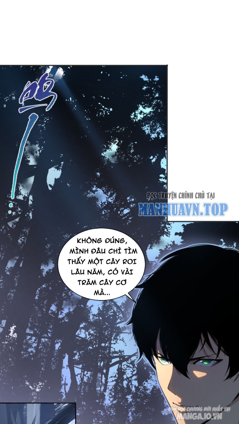 Tử Linh Pháp Sư: Ta Chính Là Thiên Tai Chapter 2 - Trang 2