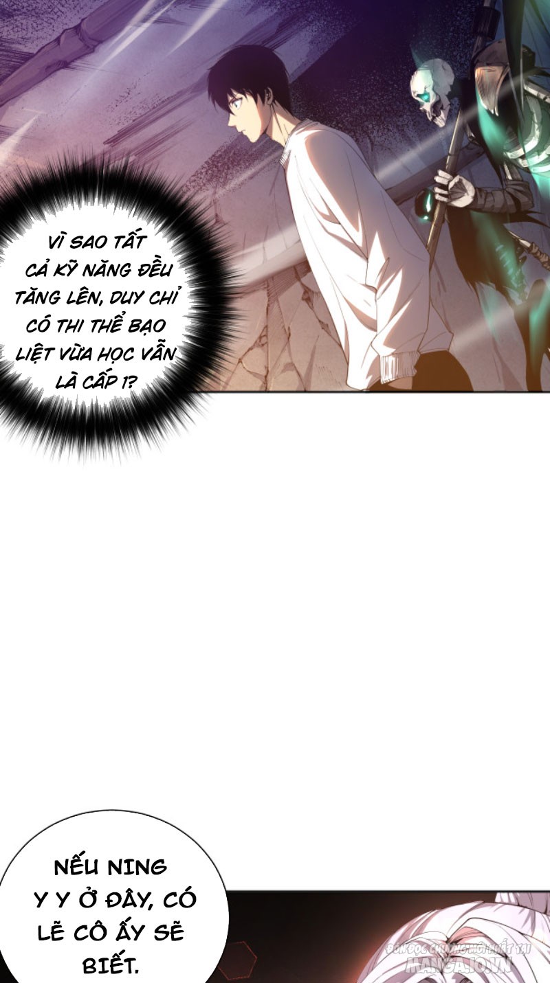 Tử Linh Pháp Sư: Ta Chính Là Thiên Tai Chapter 5 - Trang 2