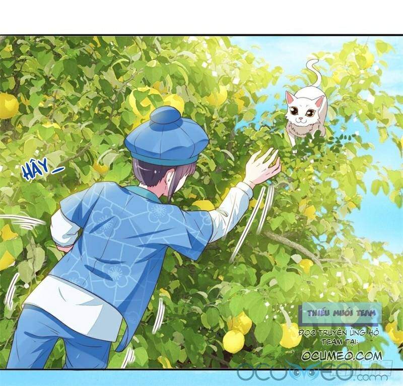 Tư Sủng Âm Dương Phi Chapter 9 - Trang 2