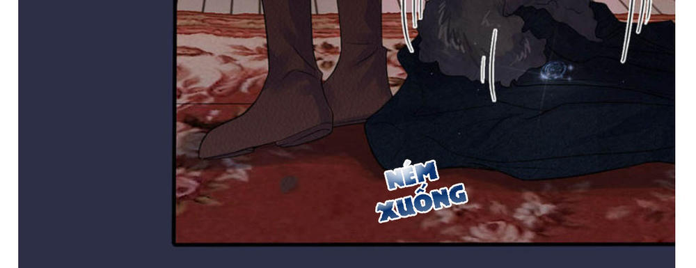 Tù Sủng Muốn Tạo Phản Của Thiếu Soái Bất Lương Chapter 1 - Trang 2