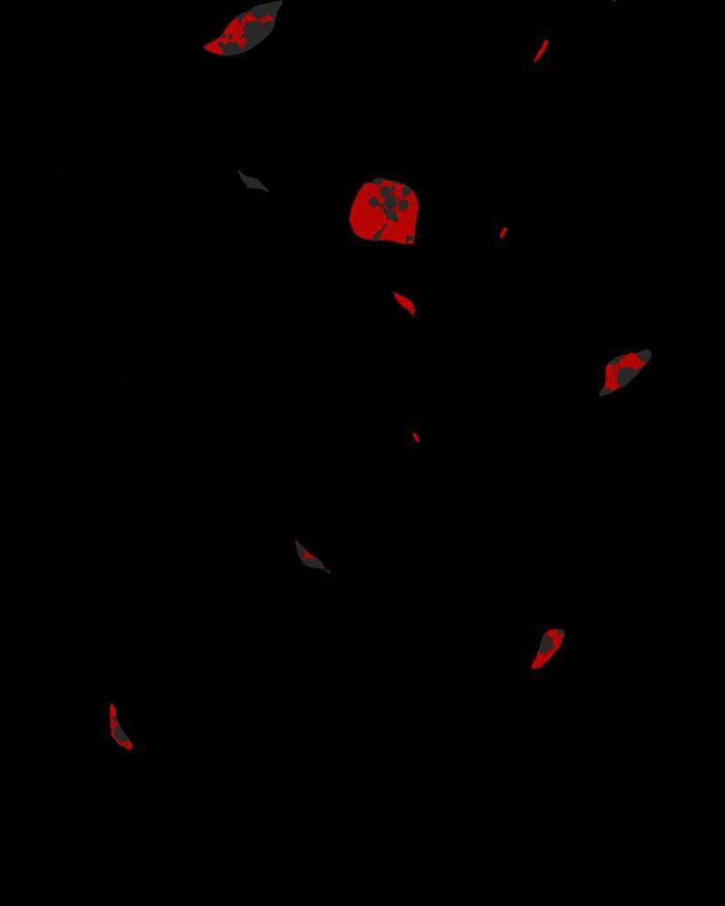 Tử Thần Chapter 1 - Trang 2