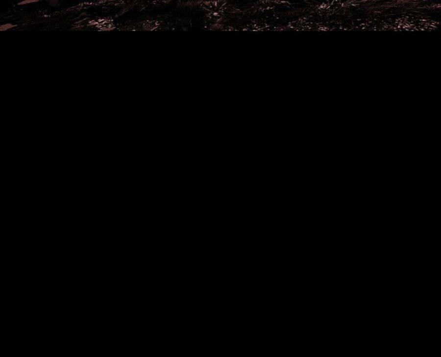 Tử Thần Chapter 11 - Trang 2