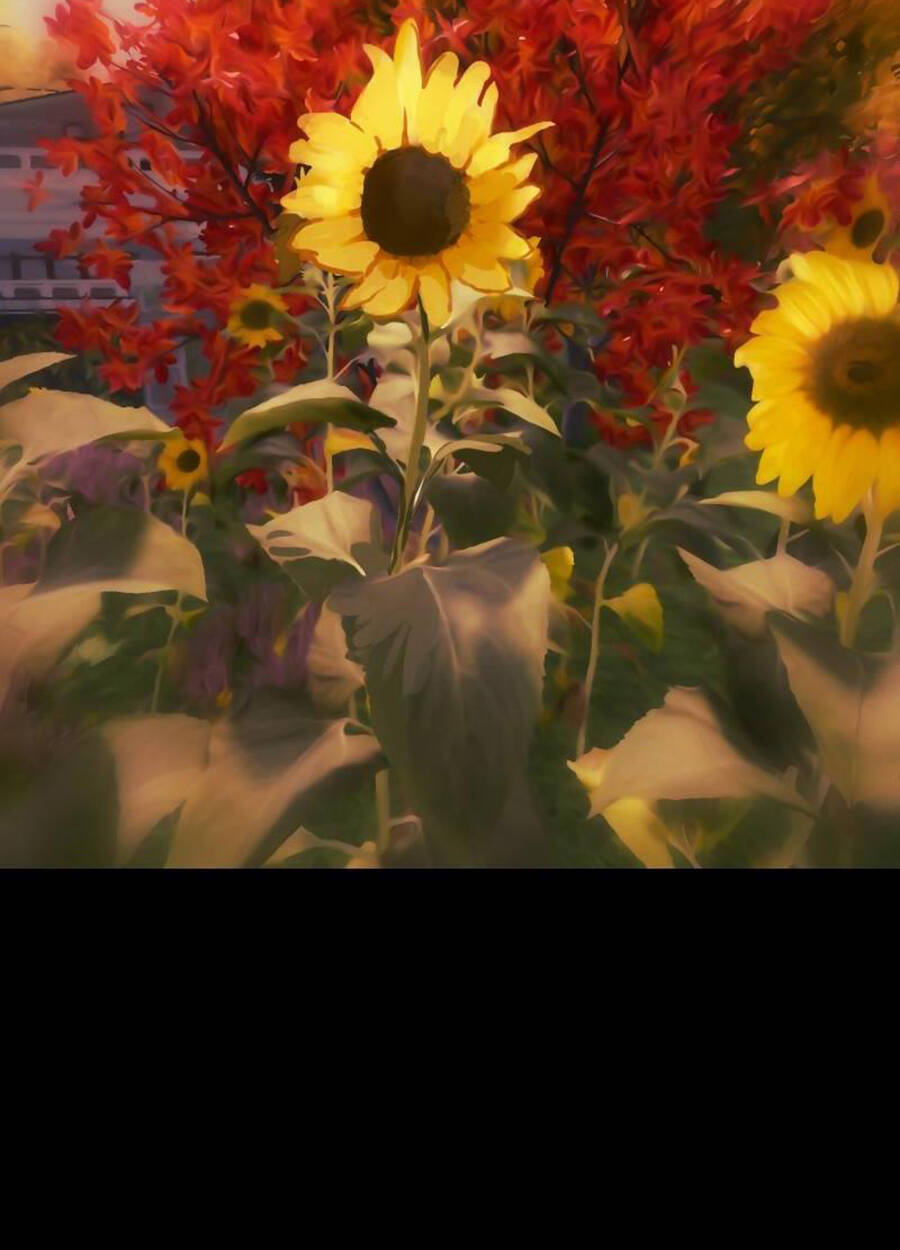 Tử Thần Chapter 122 - Trang 2