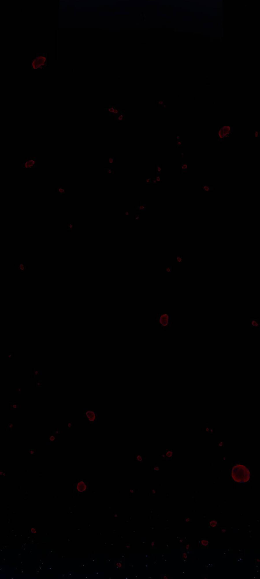 Tử Thần Chapter 133 - Trang 2