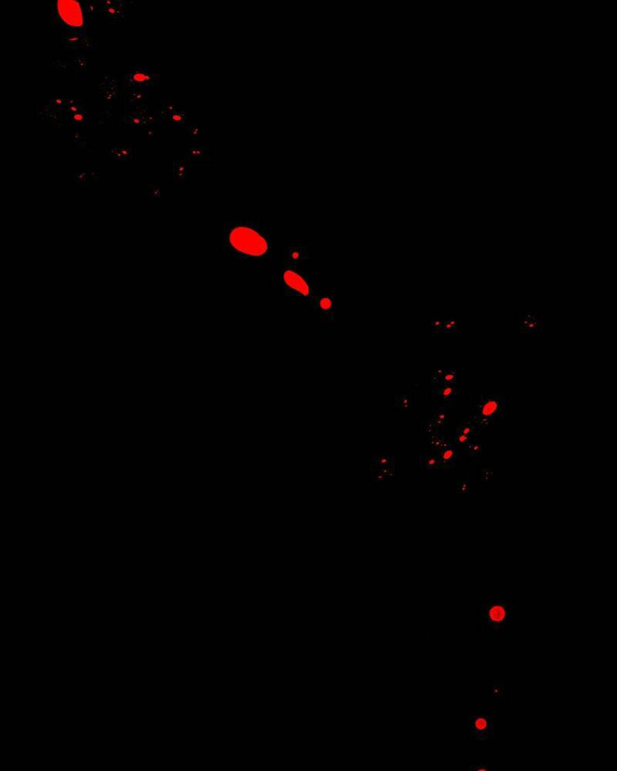 Tử Thần Chapter 28 - Trang 2