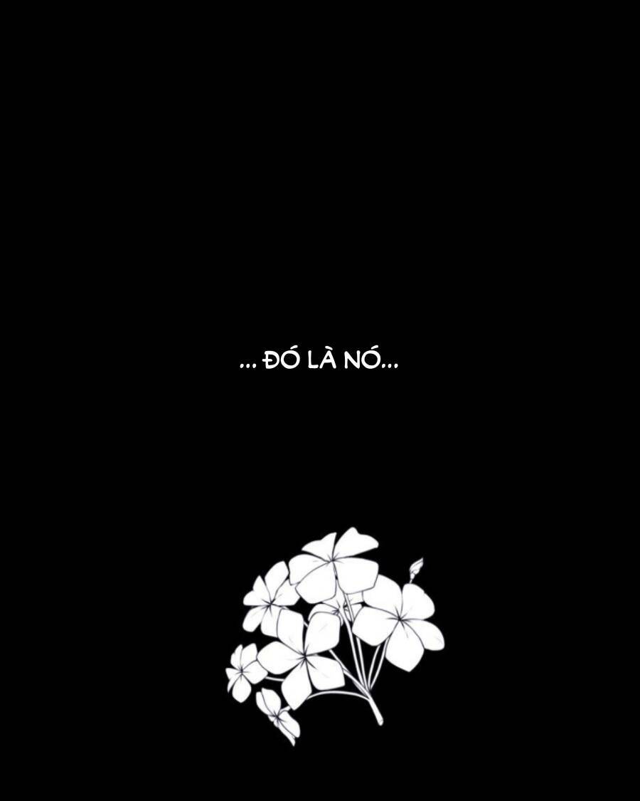Tử Thần Chapter 29 - Trang 2