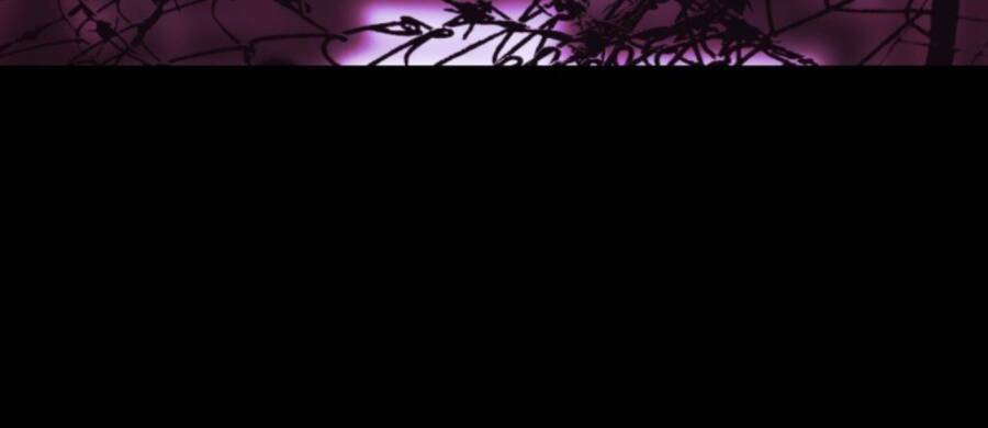 Tử Thần Chapter 40 - Trang 2