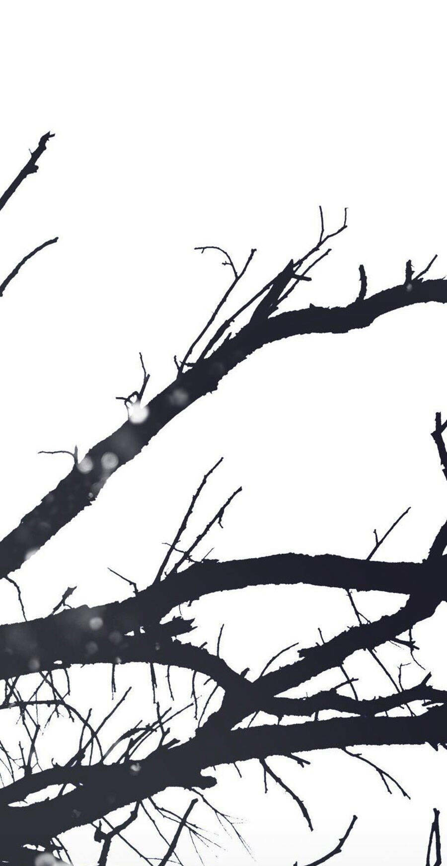 Tử Thần Chapter 46 - Trang 2