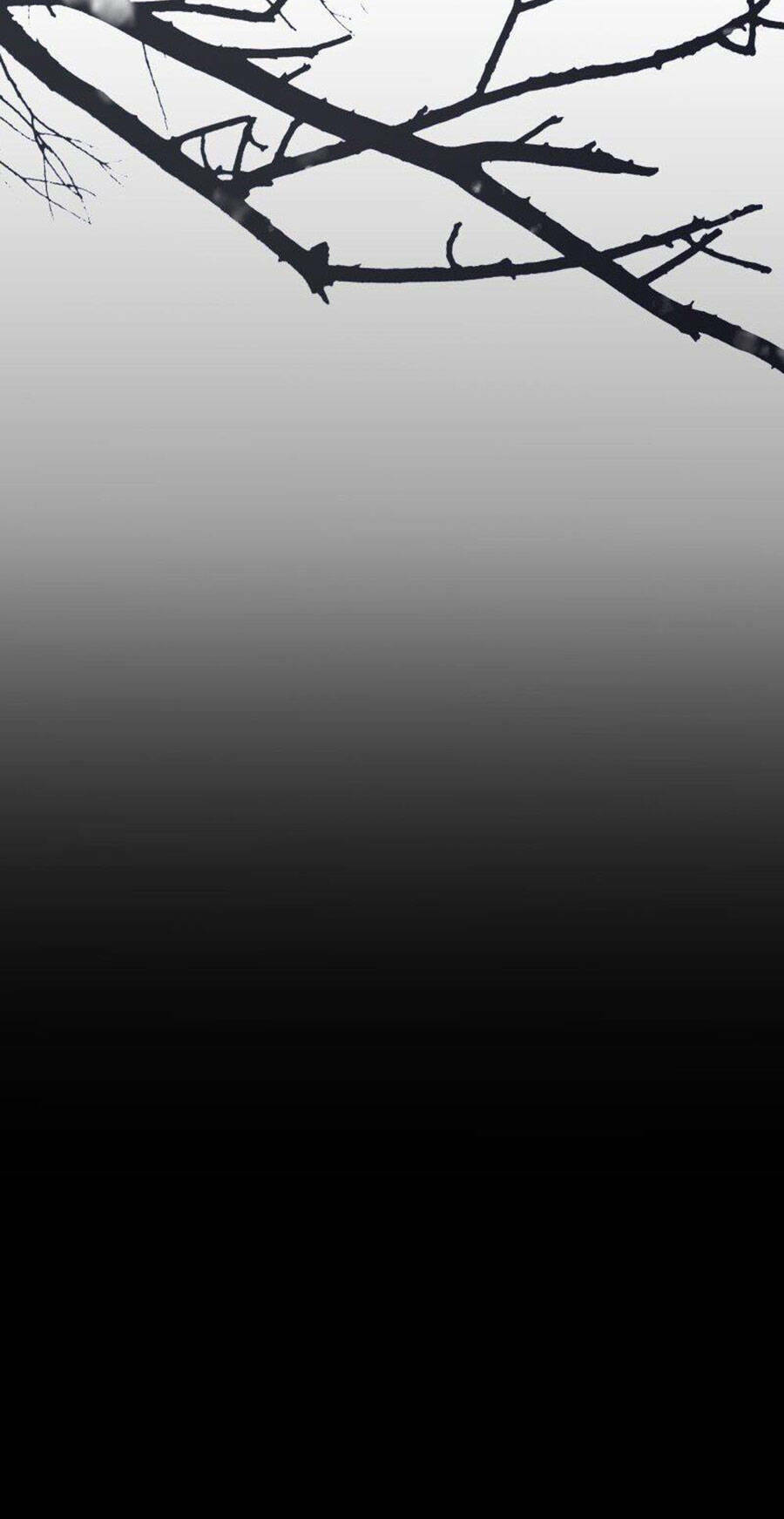 Tử Thần Chapter 46 - Trang 2