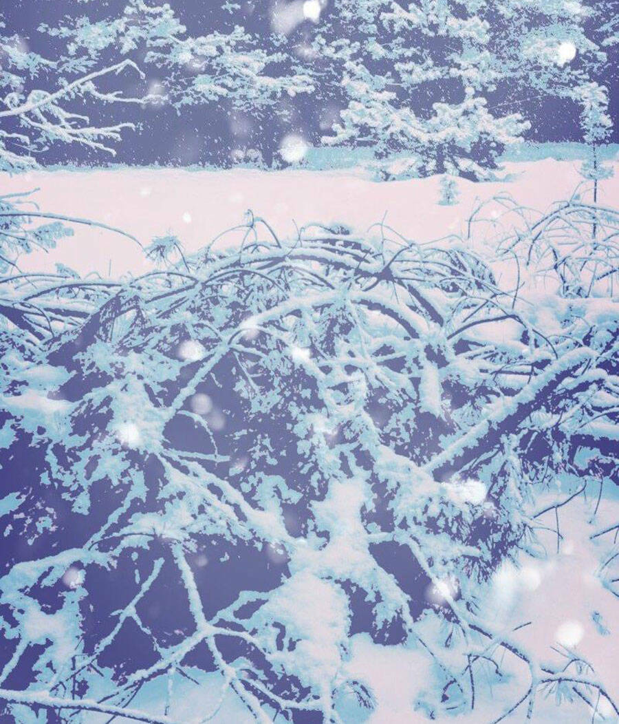 Tử Thần Chapter 46 - Trang 2