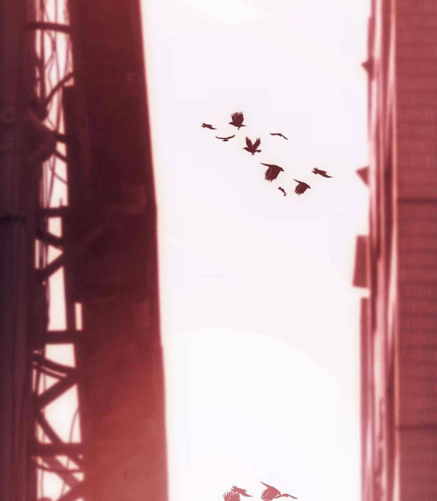 Tử Thần Chapter 49 - Trang 2