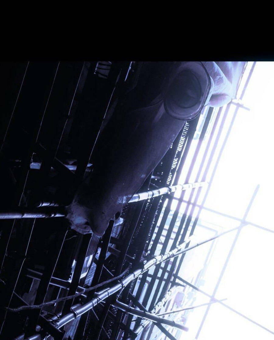 Tử Thần Chapter 50 - Trang 2