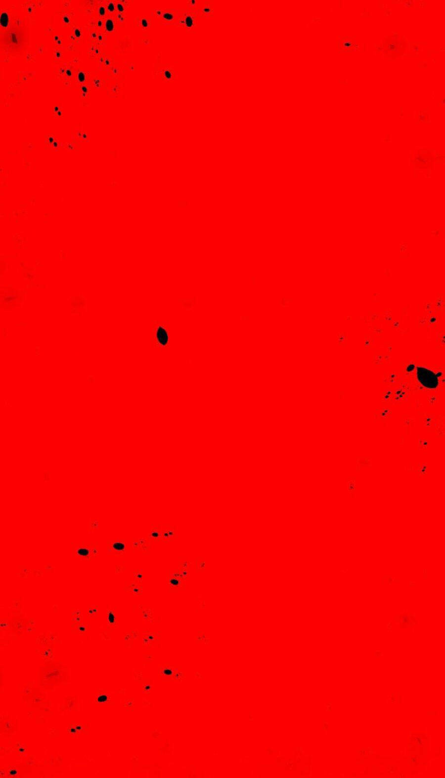 Tử Thần Chapter 63 - Trang 2