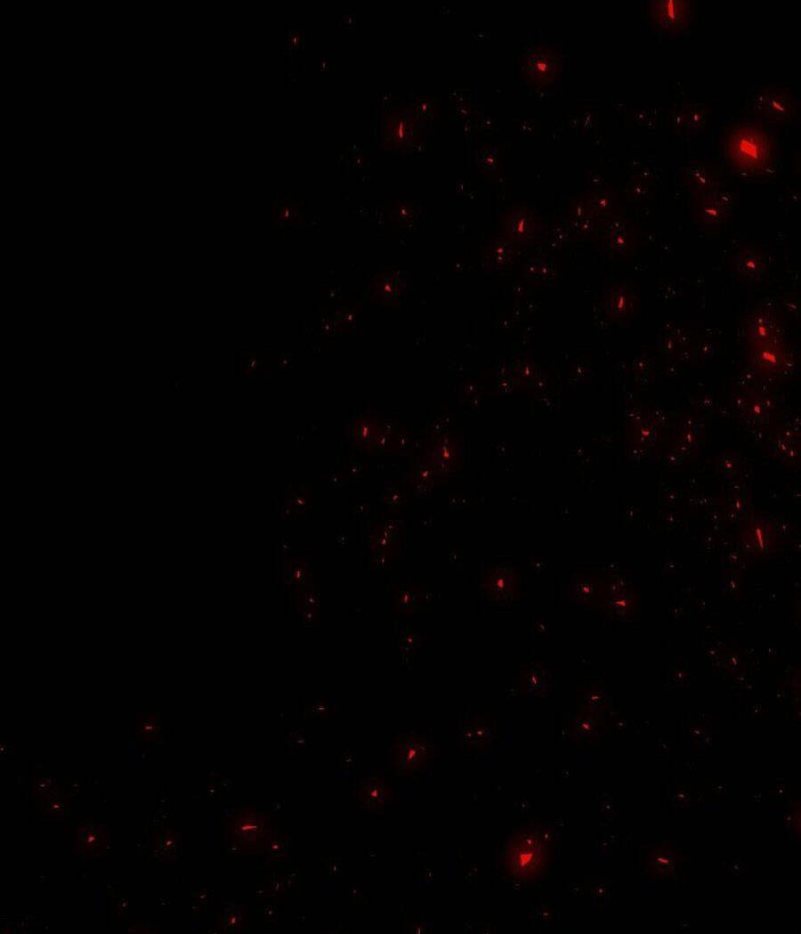 Tử Thần Chapter 63 - Trang 2