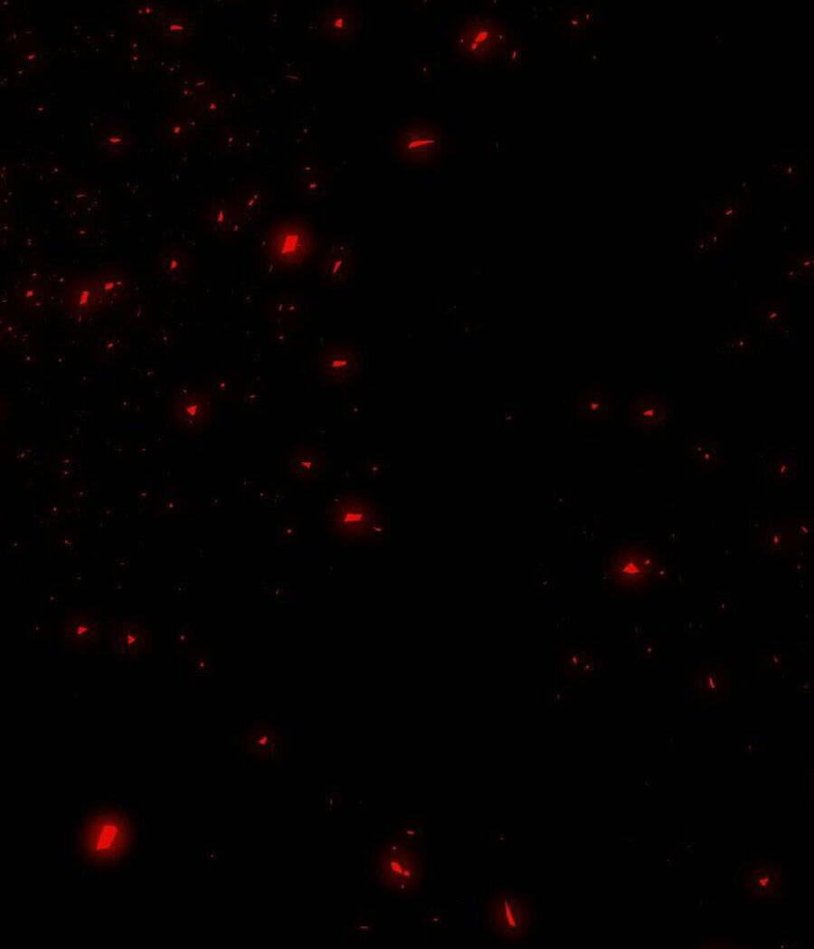 Tử Thần Chapter 63 - Trang 2