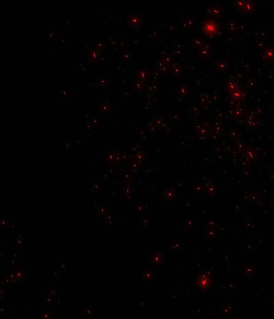 Tử Thần Chapter 63 - Trang 2