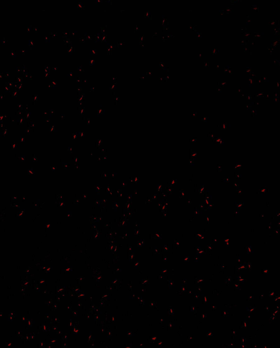 Tử Thần Chapter 66 - Trang 2