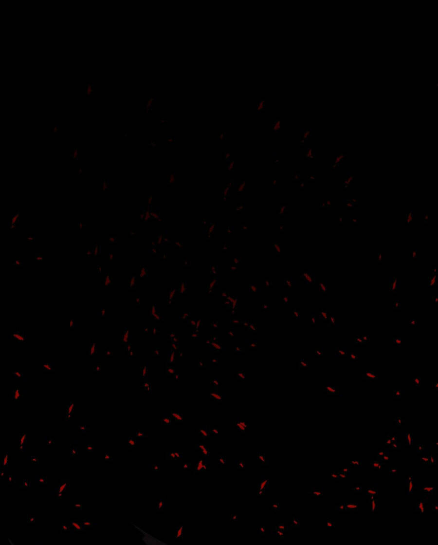 Tử Thần Chapter 66 - Trang 2