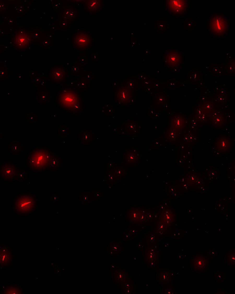 Tử Thần Chapter 70 - Trang 2