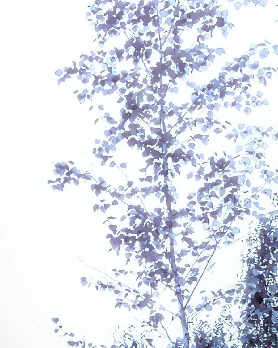 Tử Thần Chapter 71 - Trang 2