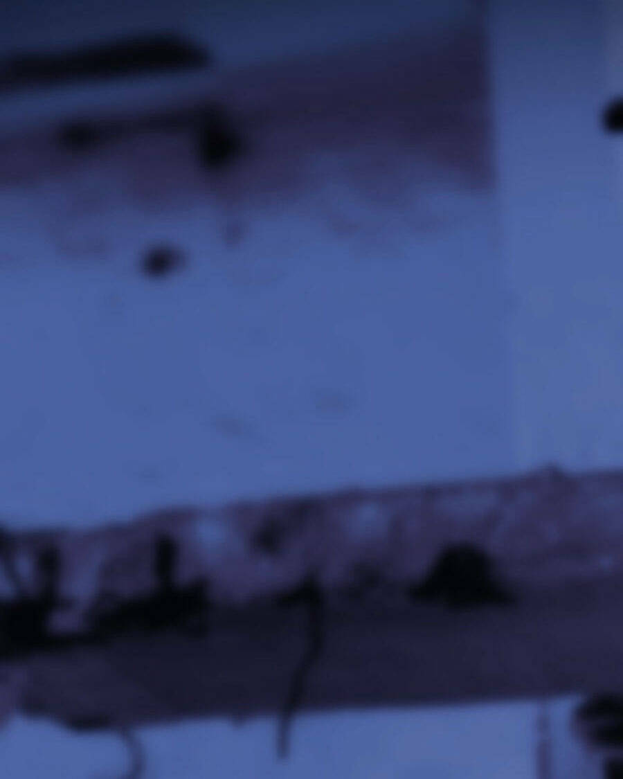 Tử Thần Chapter 72 - Trang 2