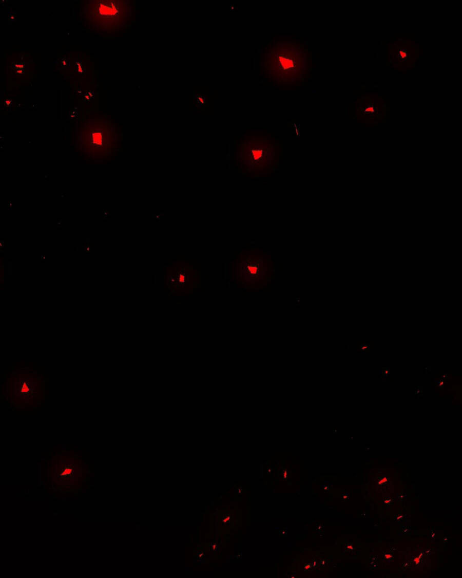 Tử Thần Chapter 72 - Trang 2