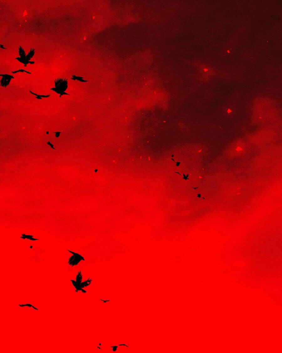 Tử Thần Chapter 72 - Trang 2