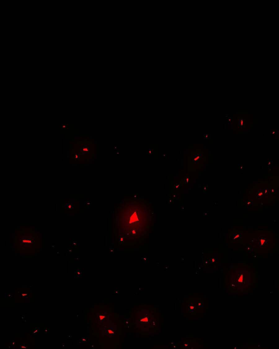 Tử Thần Chapter 73 - Trang 2